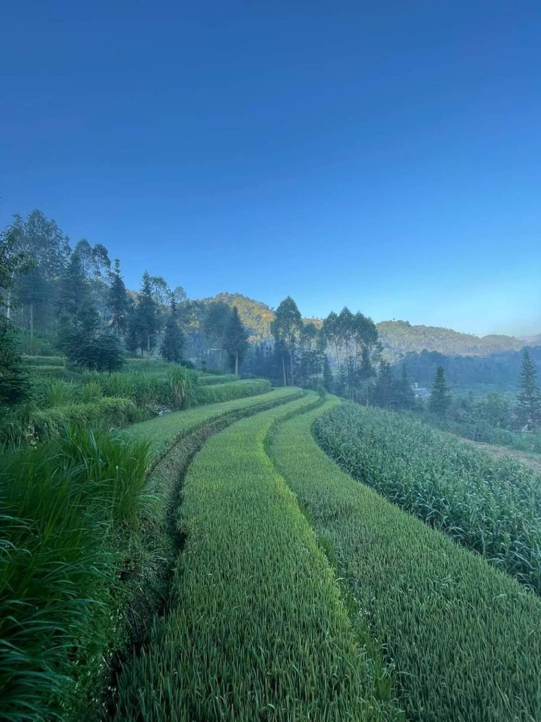 Dong Van Hmong Homestay ภายนอก รูปภาพ